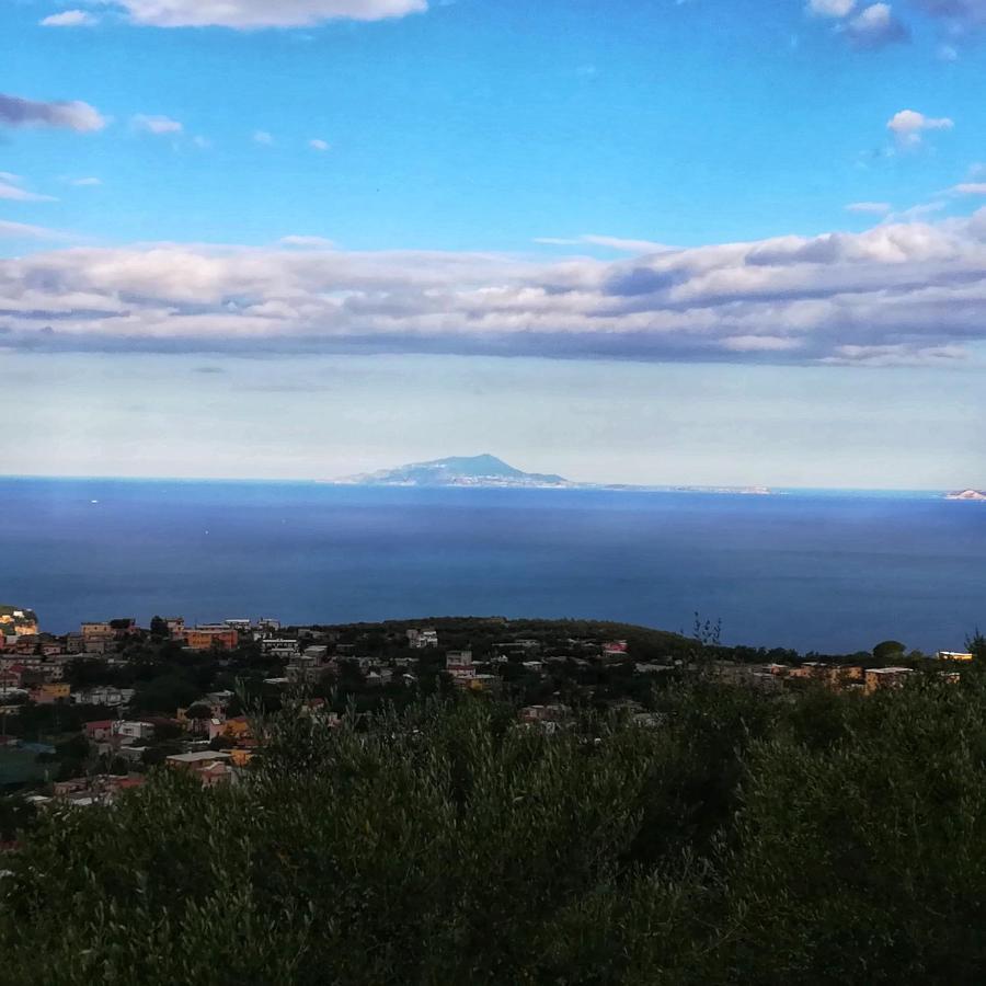 La Mandra, Cottage Tra Gli Ulivi Vico Equense Dış mekan fotoğraf