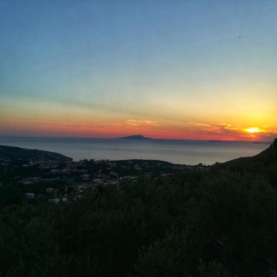 La Mandra, Cottage Tra Gli Ulivi Vico Equense Dış mekan fotoğraf